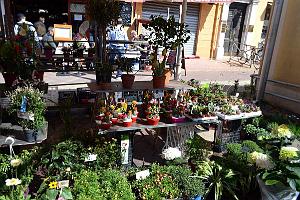130- Vieux Nice 